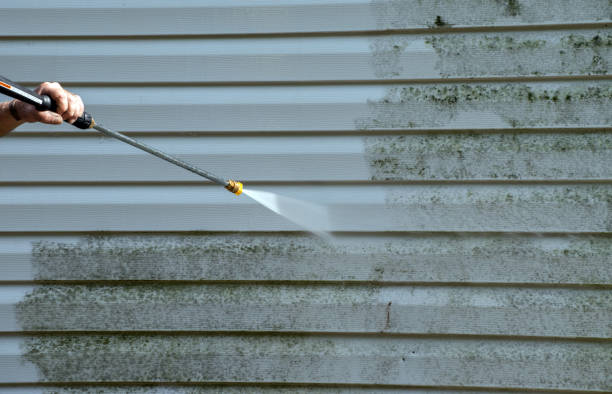 Best Patio and Deck Pressure Washing  in Johnson Lane, NV